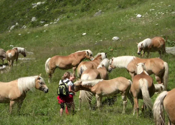 בית הארחה Bacherhof 3*