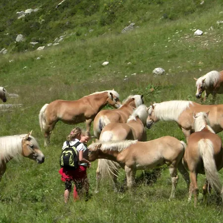 게스트하우스 Bacherhof 3*